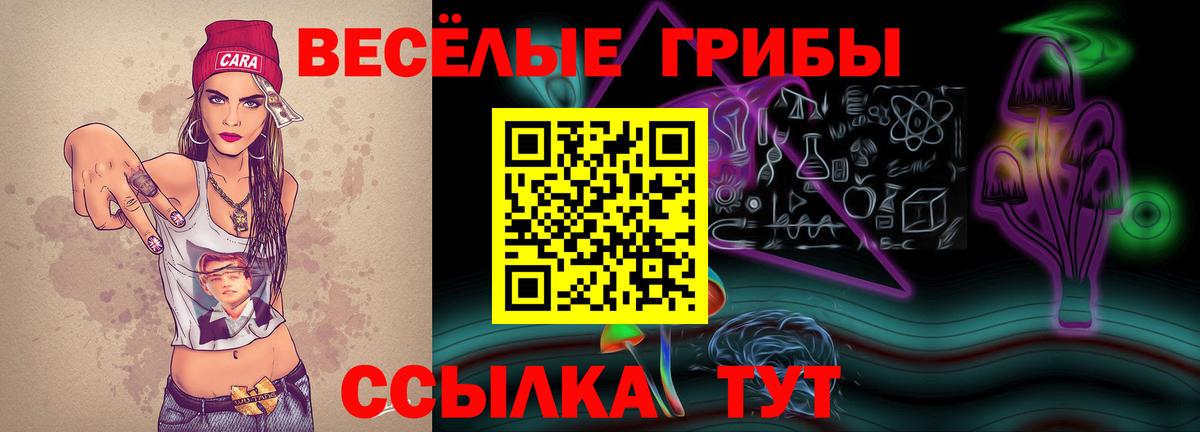 Калуга  Галлюциногенные грибы MAGIC MUSHROOMS  Вход с VPN 