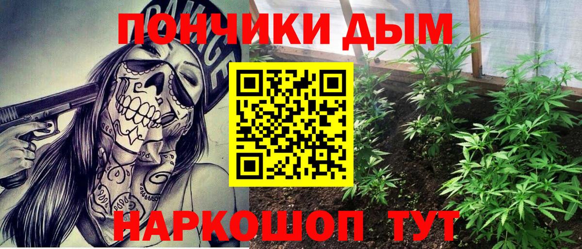 Бошки марихуана планчик Калуга